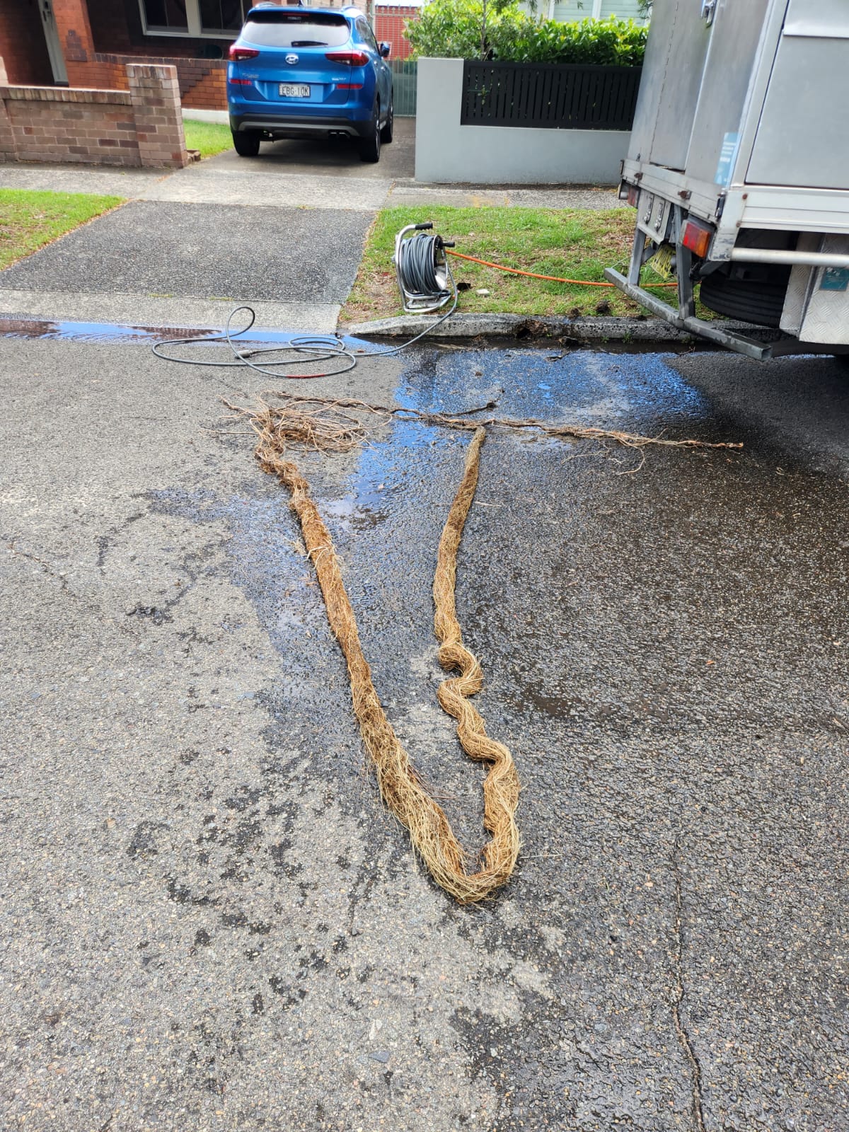 A long mass of tree roots pulled out of a blocked drain, laid on the road beside the PKG truck